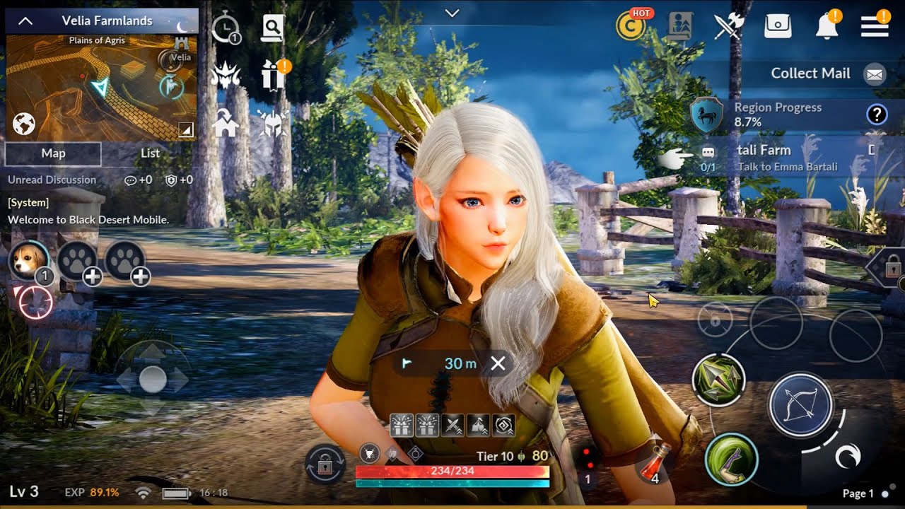 Black Desert — скриншот 1